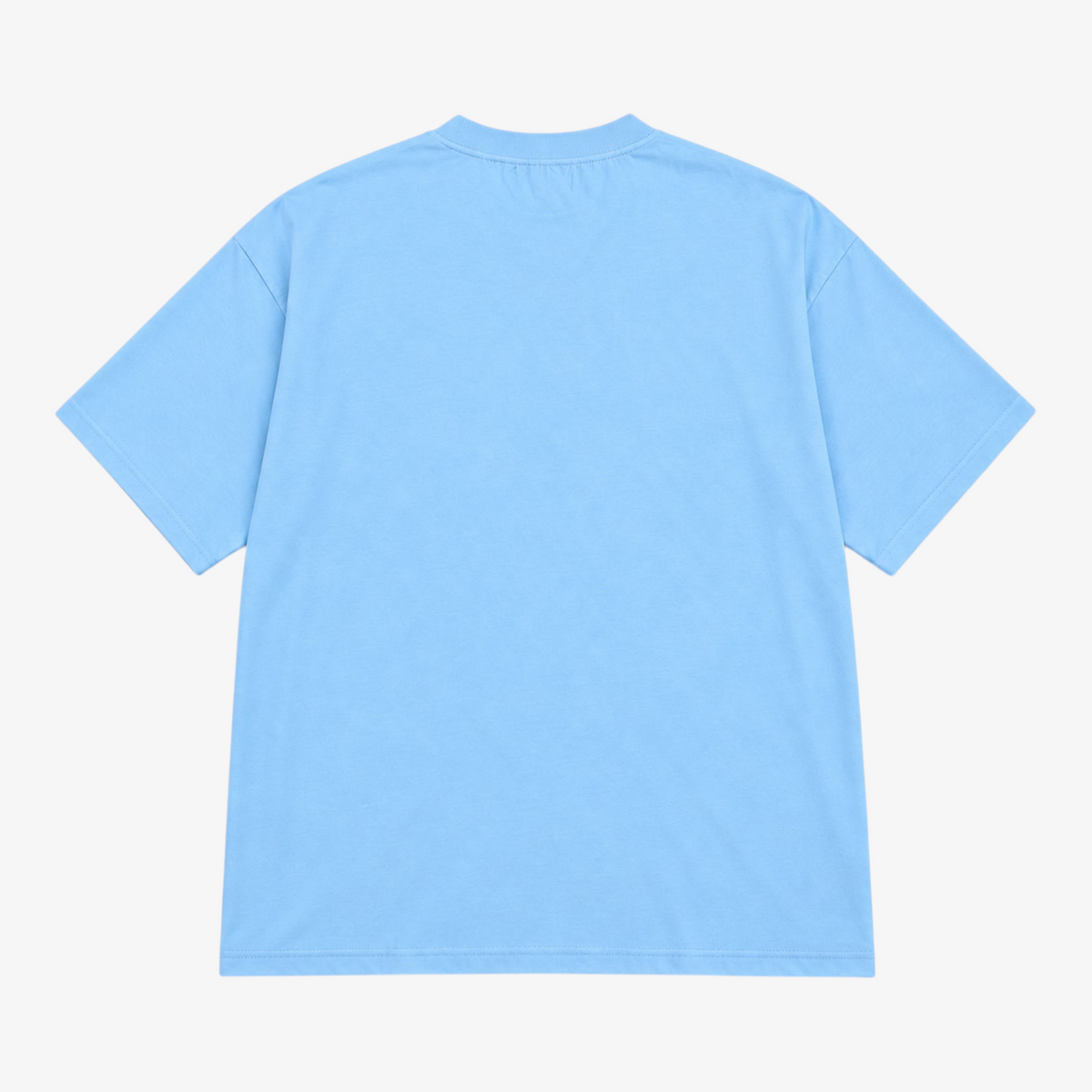 STF tonal embroidered T-shirt in sky blue, back view