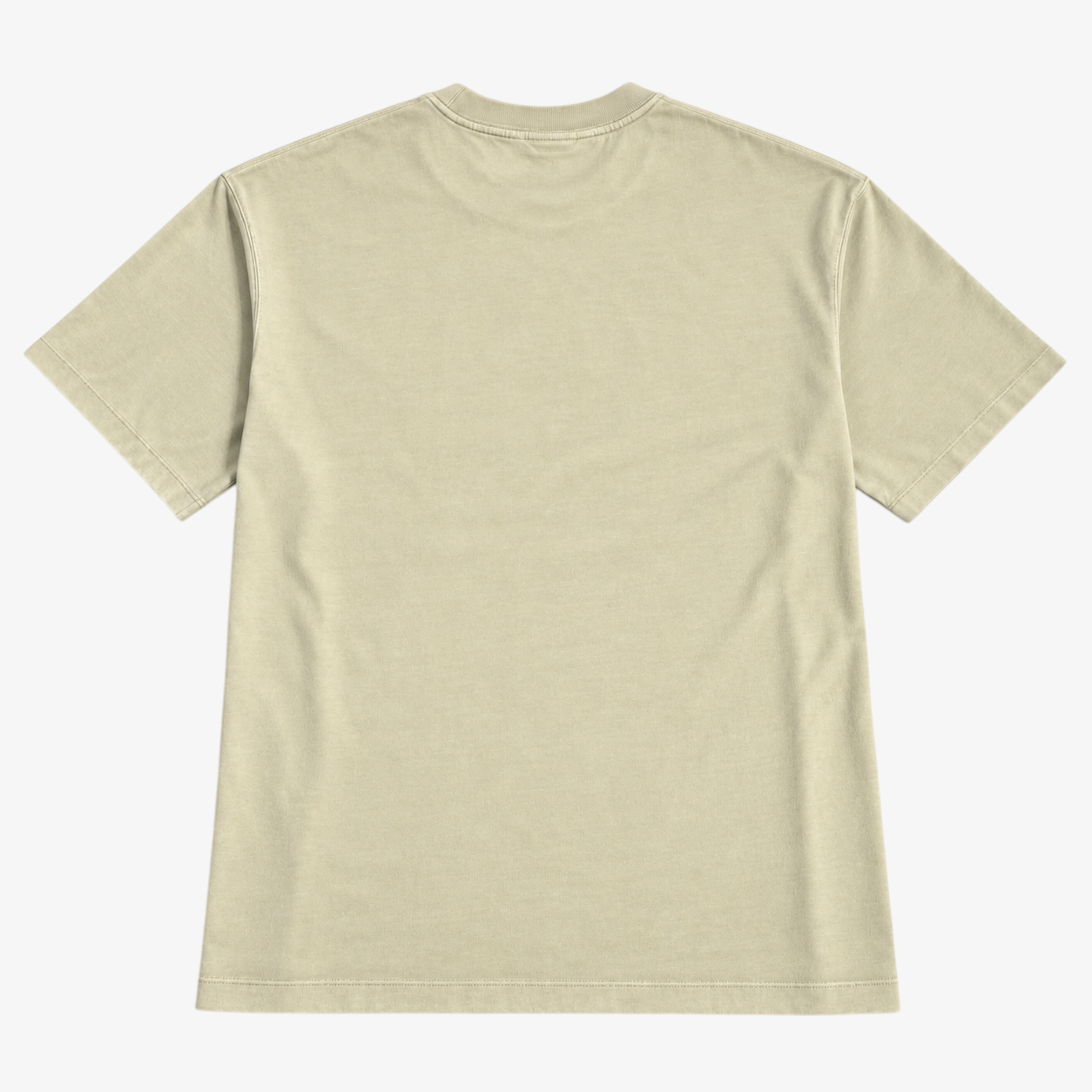 STF Nothing to Prove T-Shirt — Washed Cream Secondary image